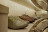 Wardrobe Bruno zampa Aurea Aurea 01