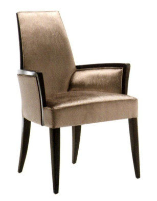 Dining Chair Selva Home 1057