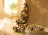 Buffet Riva Bouquet 9076