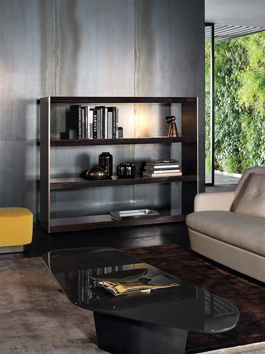 Cabinet Minotti Carson