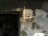 Pendant Lamp Flos Coordinates